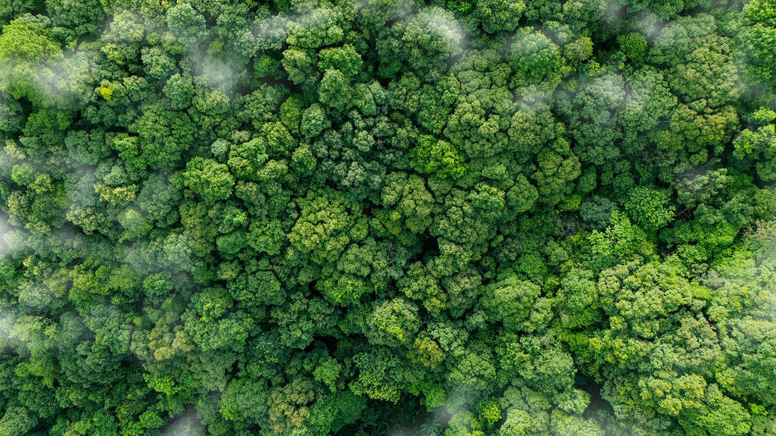 Why Embodied Carbon is the Top Environmental Issue for Our Sector – and How to Address It